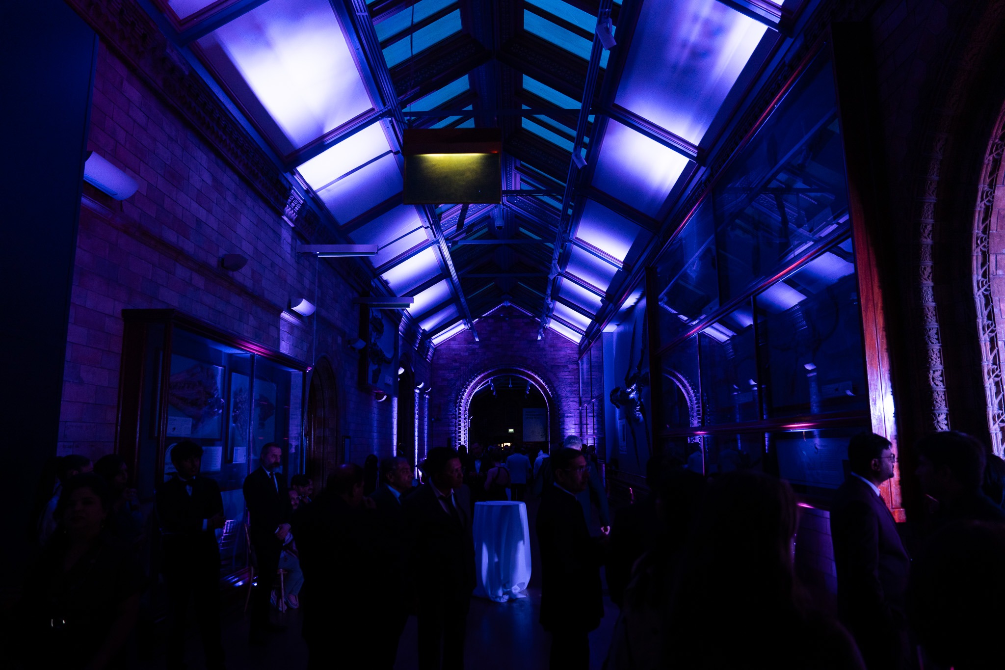 World Homoeopathy Summit 4.0 at the Natural History Museum London — Kudos AV event production, photo 24