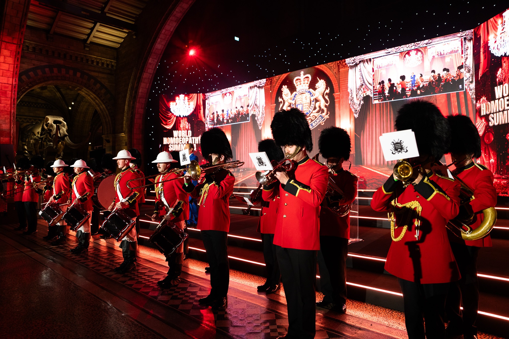 World Homoeopathy Summit 4.0 at the Natural History Museum London — Kudos AV event production, photo 9